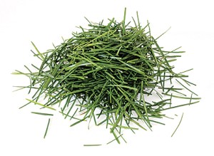 grass clippings