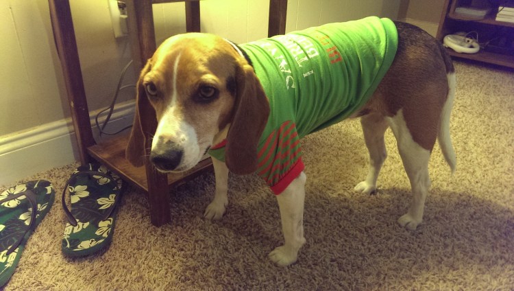 Santa, I tried being good...