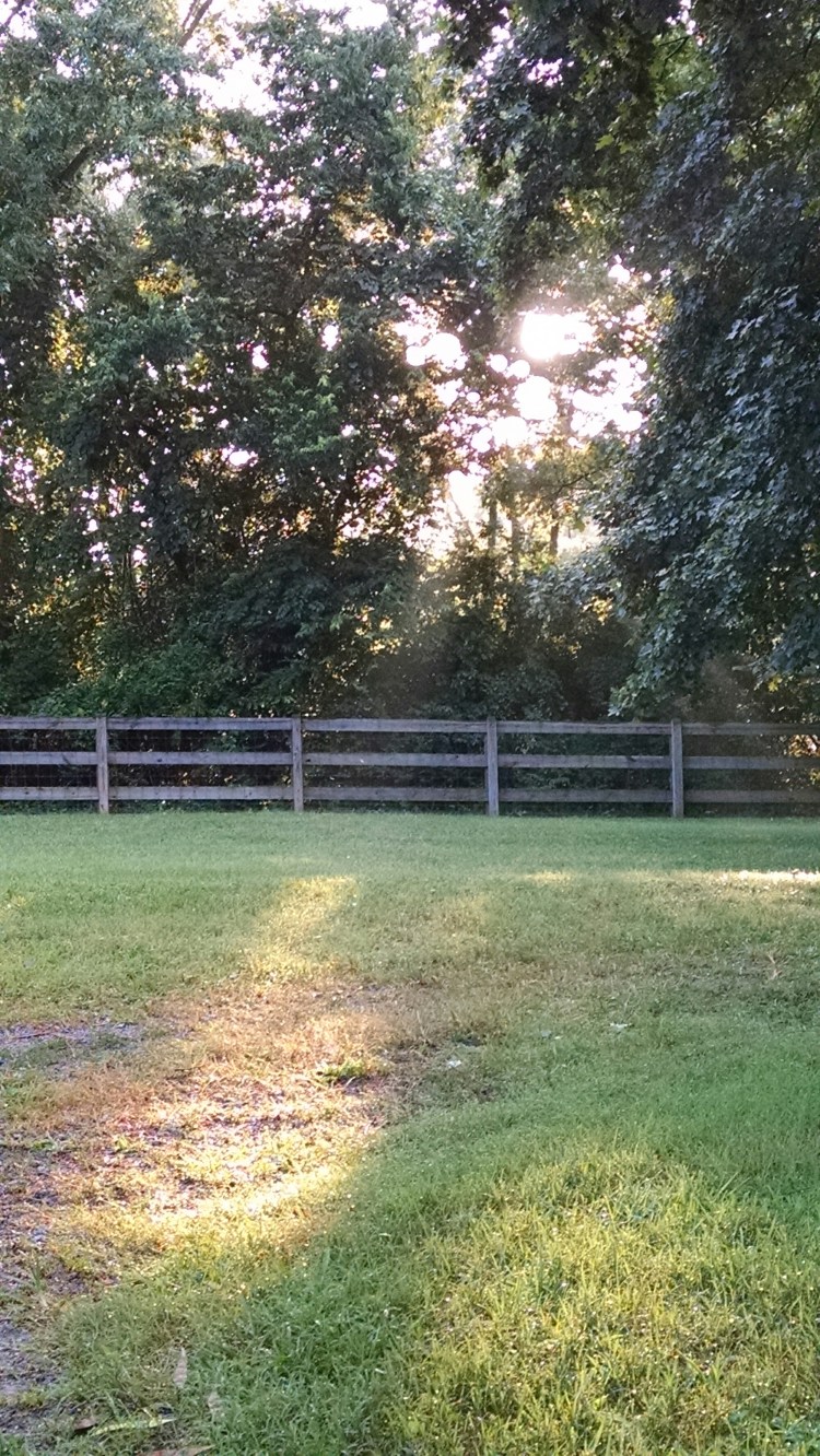 wp-1439769426493 image