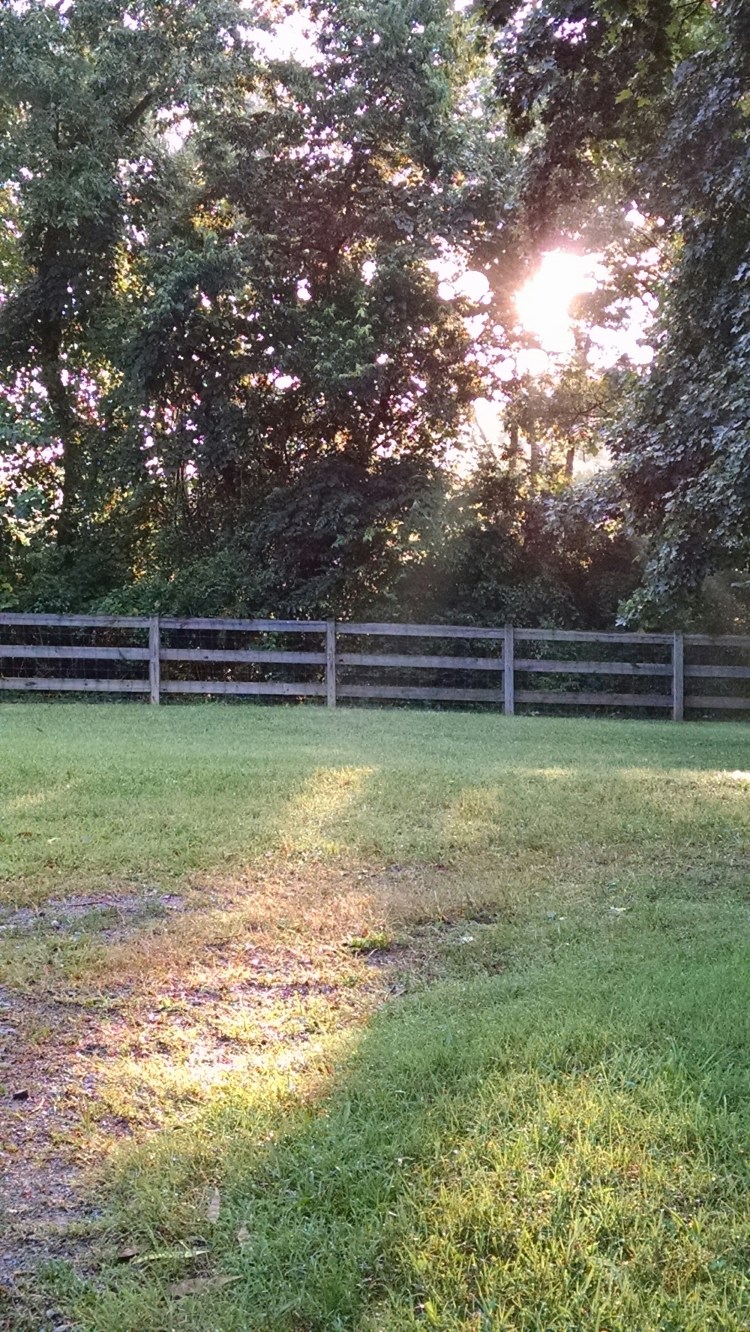 wp-1439769606828 image