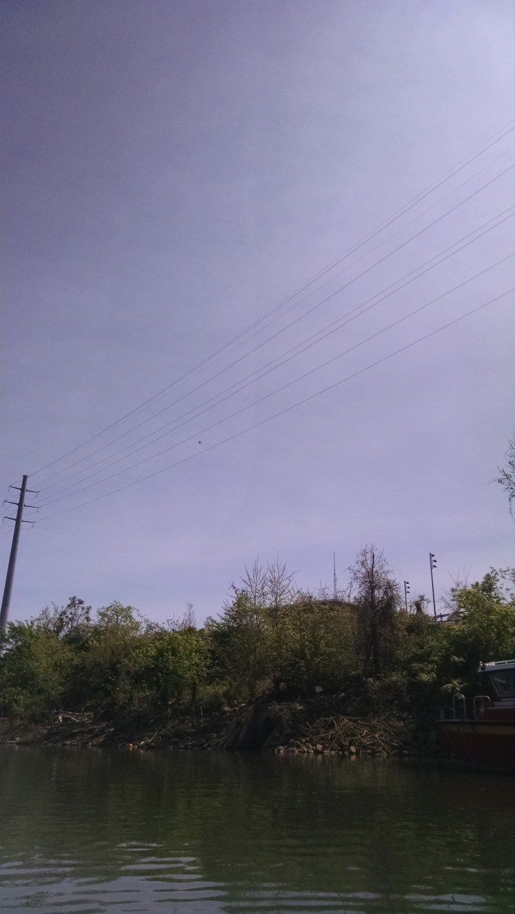 IMG_20160418_141307268