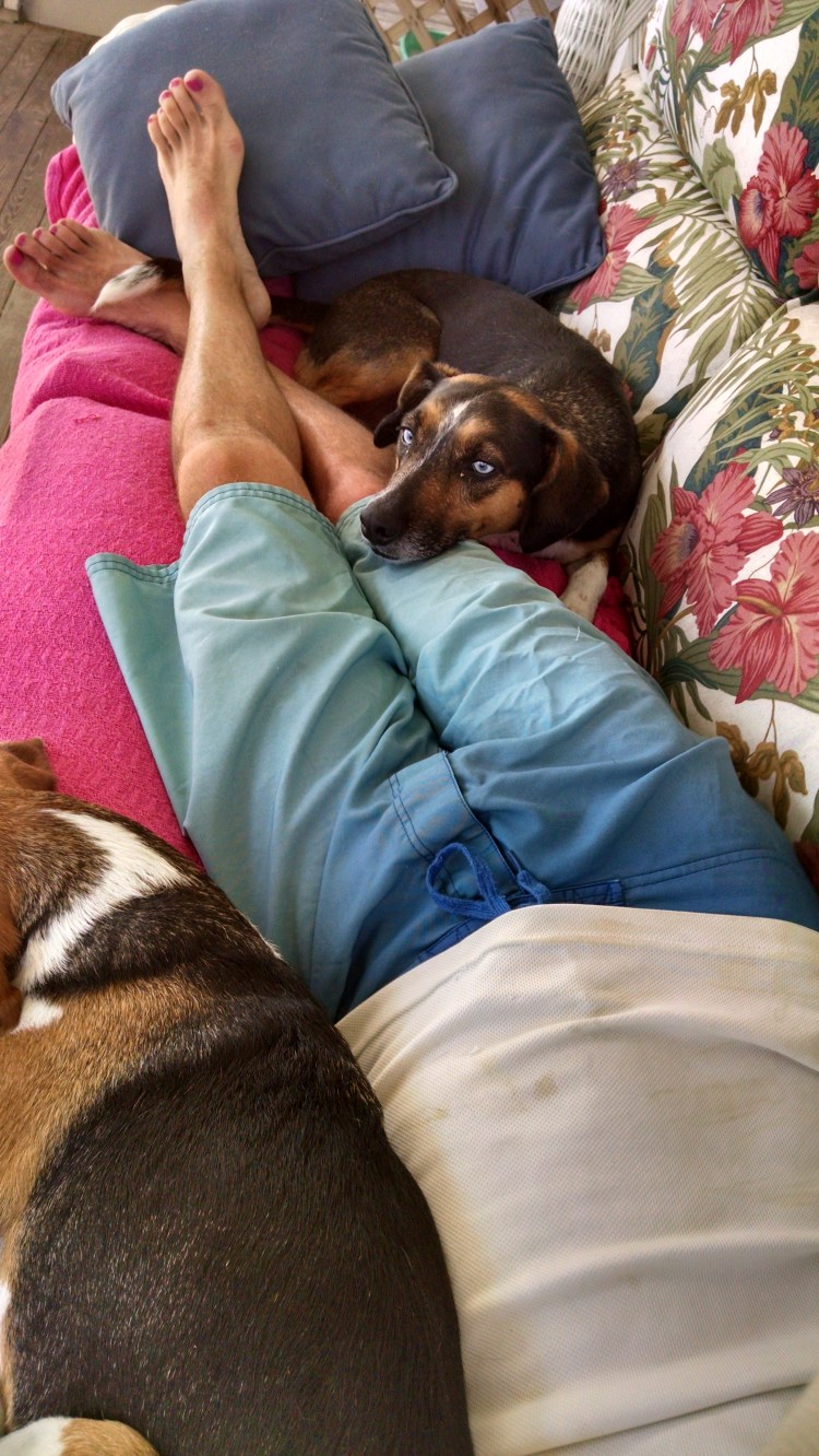 IMG_20160528_173422581_HDR