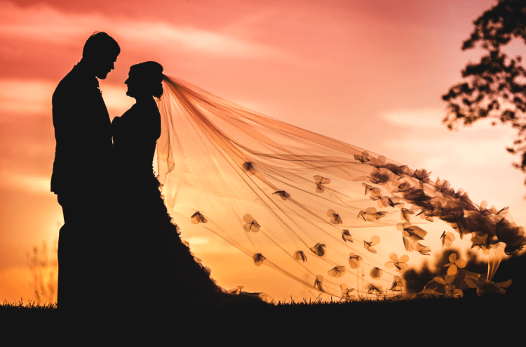 Screen Shot 2017-04-28 at 11.21.38 AM