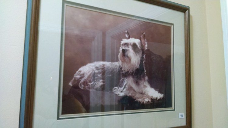 IMG_20180203_085317006