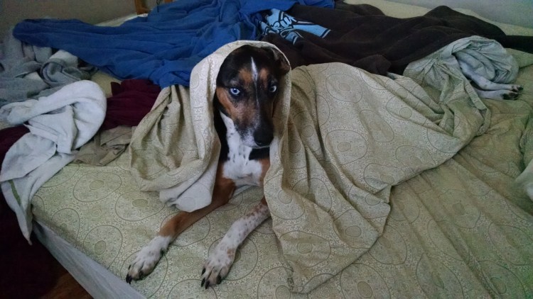 IMG_20171211_071358325